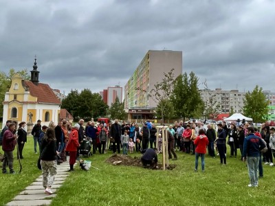 Hejtman sázel javor v parku Lásky a Přátelství