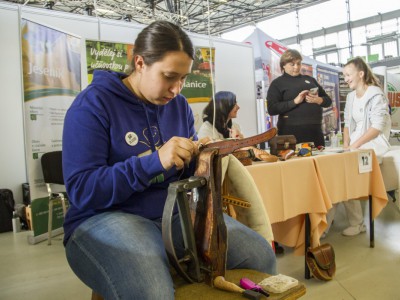 Burza práce a vzdělání v Olomouci