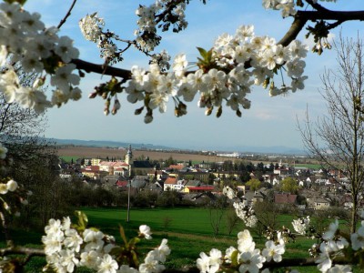 FOTOSOUTĚŽ: Jarní výlet