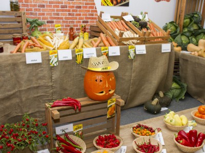 Začala podzimní Flora Olomouc
