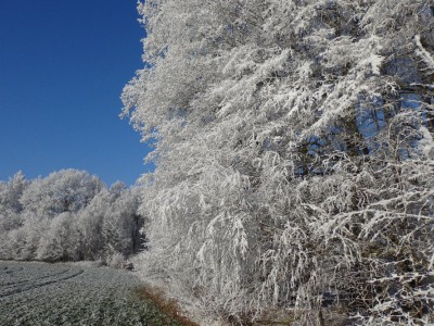 Fotosoutěž: Taková byla zima u nás