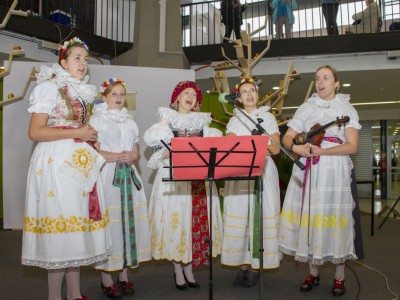 Je z čeho vybírat. Kraj má nové a chutné potraviny