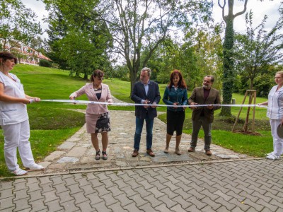 Paseka má novou louku. Pomůže s léčbou pacientů