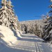 Běžkaři mohou využít nové služby. Ukáže jim polohu rolby i kvalitu sněhu