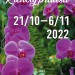 Klenoty pralesa, výstava orchidejí a tropických rostlin