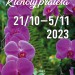 Klenoty pralesa 2023 