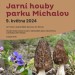 Jarní houby parku Michalov