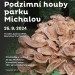 Podzimní houby parku Michalov