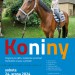 Koniny v Hanáckém muzeu v přírodě