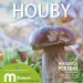 Houby - výstava