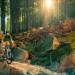 Podpořte Rychlebské stezky v soutěži DestinaCZe 2013
