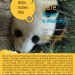 Na olomoucké Science Café míří Evžen Kůs z pražské Zoo