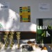 Děti soutěžily o Zlatou srnčí trofej