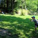 V jesenických lázních otevřeli DiscGolfPark