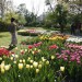 Jarní Flora promění olomoucké výstaviště ve Smyslů plnou zahradu