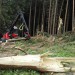 Na Hanušovicku je opět volný vstup do lesa 