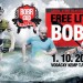  FREE LITOVEL BOBR CUP 2016 