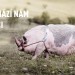 Festival filmů o přírodě poprvé v Přerově