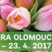 FLORA  OLOMOUC 2017, jarní etapa