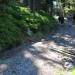 Cesta u Švýcárny v Jeseníkách se opravuje, čtěte aktuální info pro turisty i cyklisty