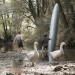Muzeum Zdeňka a Jana Svěrákových se rozroste o jejich nejnovější film