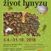 Společenský život hmyzu