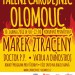 Pálení čarodějnic