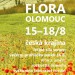 Flora Olomouc letní etapa