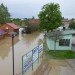 Žádná komáří svatba. Kraj obci přispěje na postřik proti otravnému hmyzu