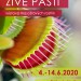 Živé pasti