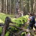 Hledáme Zelenou školu Olomouckého kraje