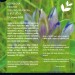 Botanická exkurze do lomu Kukačka u Bílé Vody