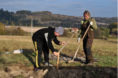nadace-partnerstvi-vysadba-stromu.jpg