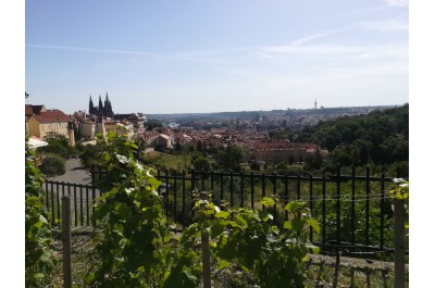 Kraj se změnil k hezčímu. Výstava přináší 11 důkazů    Foto: archiv Cestami proměn, z.s.