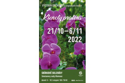 Klenoty pralesa, výstava orchidejí a tropických rostlin