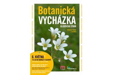 Botanická vycházka: Bludovská stráň	