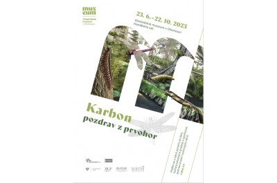 Karbon - pozdrav z prvohor 