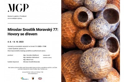 Vernisáž výstavy Miroslav Srostlík Moravský 77: Hovory se dřevem