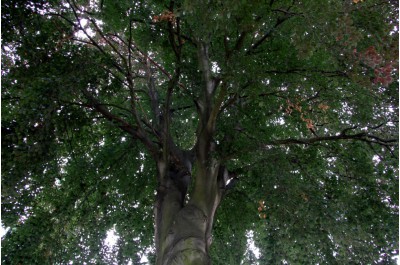 img-9127.jpg