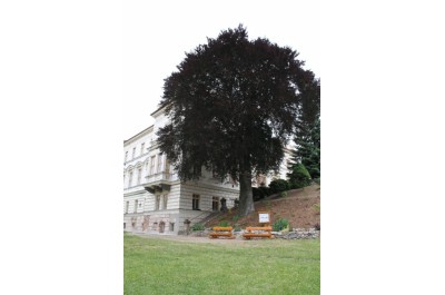 img-9148.jpg