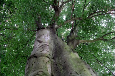 img-9163.jpg
