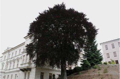 img-9167.jpg