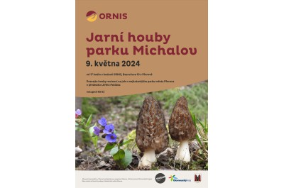Jarní houby parku Michalov