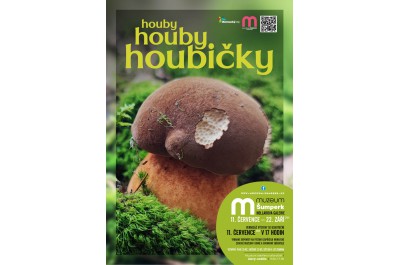 Houby, houby, houbičky