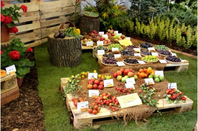 img-8055-expozice-zelenina.jpg