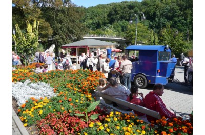 autovlacek-p1020846.jpg