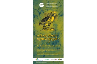 vystava-atlas-ptaku-neobycejnych.jpg