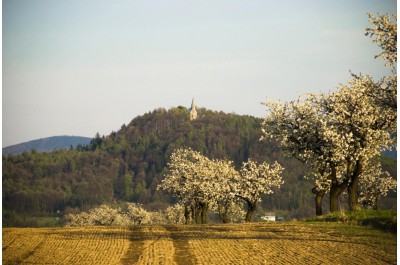 ok-jeseniky-krajina.jpg