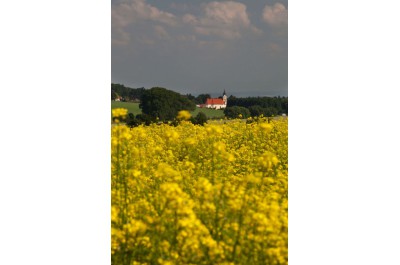 08-02-jeseniky-hana.jpg