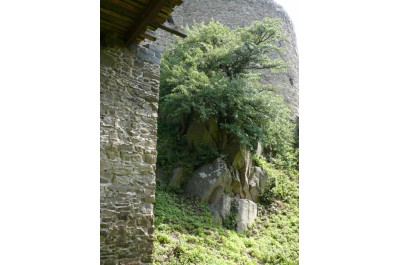 plana-hrusen.jpg